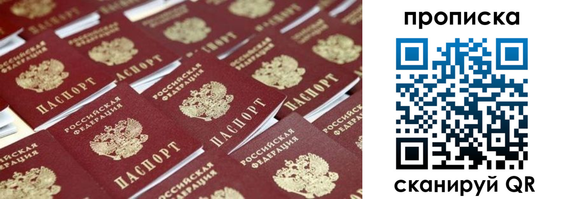 регистрация для школы в Заречном